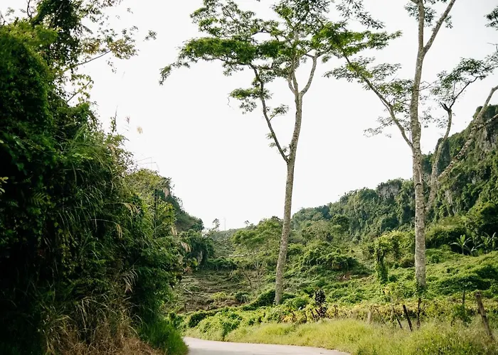 150 Peakway Mountain Campo de lujo